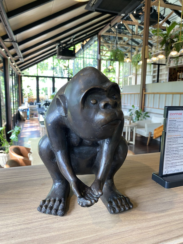 คาเฟ่ในป่าภูเก็ต