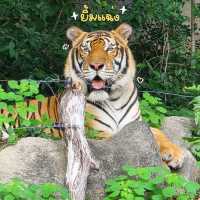 แจกวันเที่ยวสวนสัตว์ ฉบับเด็กโต