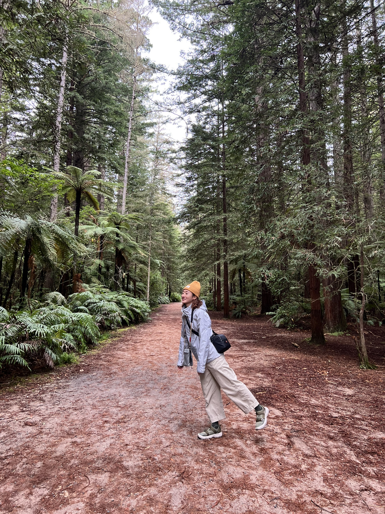New Zealand North Island｜Rotorua Short Trip｜Switching between geothermal wonders and luge fun.