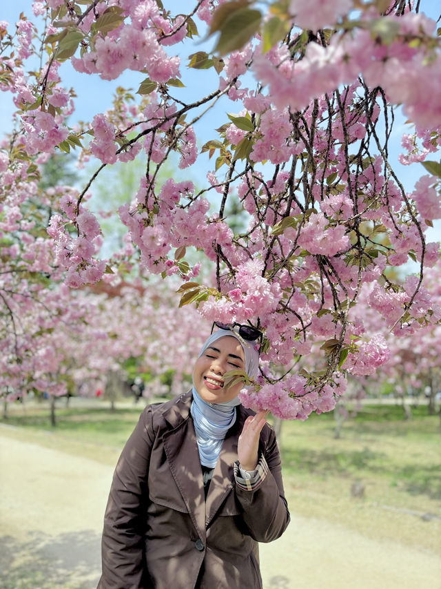 Small Budget Traveling to Seoul, Korea