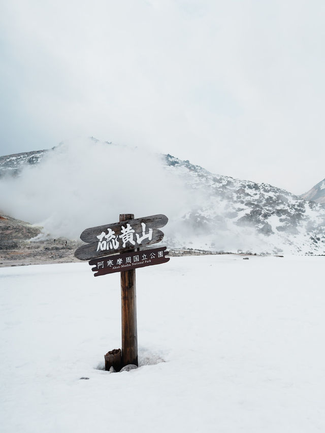 🇯🇵 🌋Hokkaido’s Living Volcano – The Sulfur Trails of Iōzan