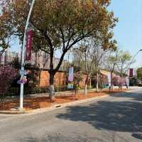 Spring Bliss at Gucun Park