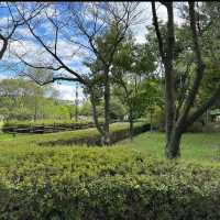 ハンバッ樹木園