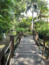 ที่พักเกาะช้าง Pet Friendly 