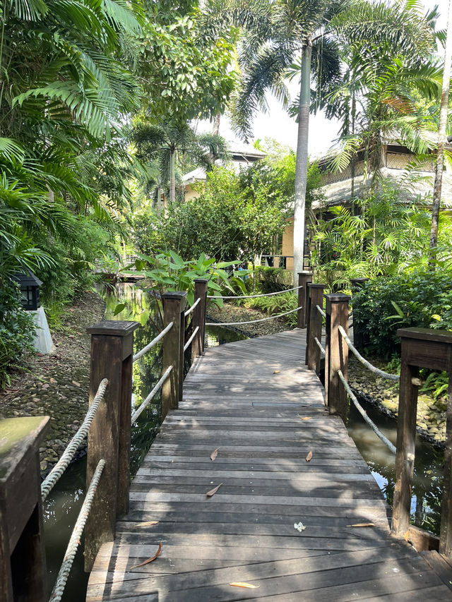 ที่พักเกาะช้าง Pet Friendly 