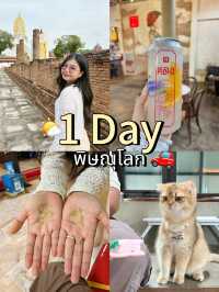 1Day พิษณุโลก
