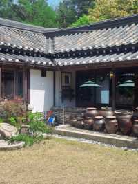 100년 전통한옥에서 특별한 메뉴를 자연과 즐겨보세요🍁
