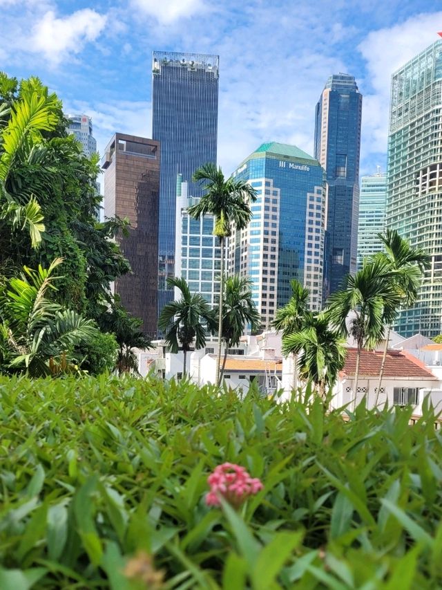 Skyscraper and Greenery views in Ann Siang Hill Park