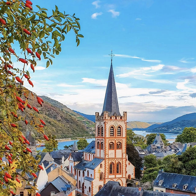 德國🇩🇪萊茵河畔 從童話書里出來的小鎮！
