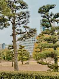 일본 다카마쓰 이 곳은 필수입니다🇯🇵