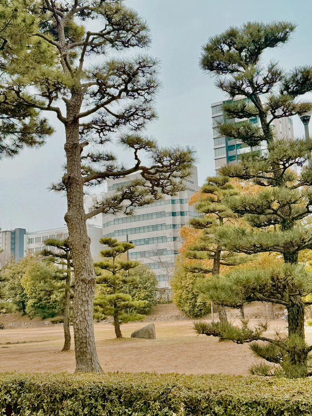 일본 다카마쓰 이 곳은 필수입니다🇯🇵