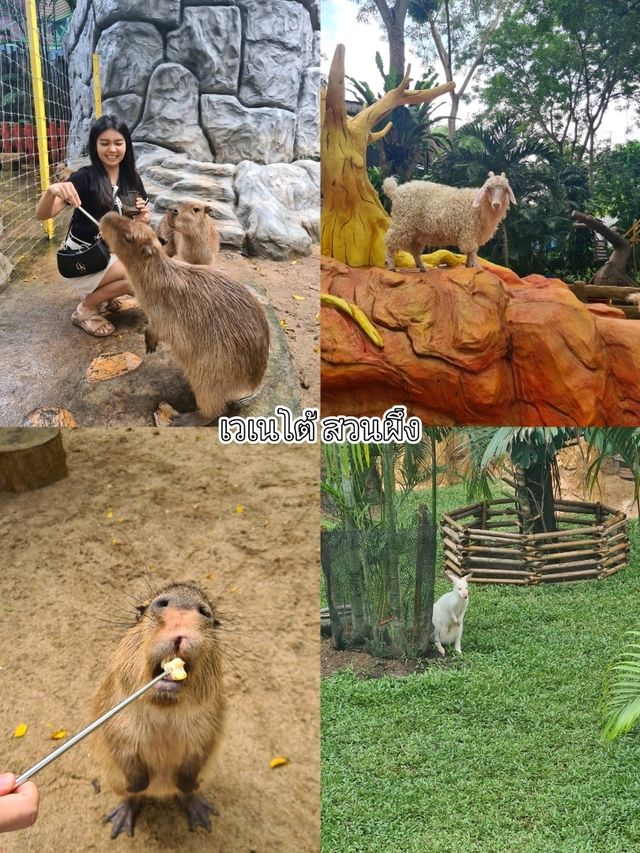 เวเนโต้ สวนผึ้ง