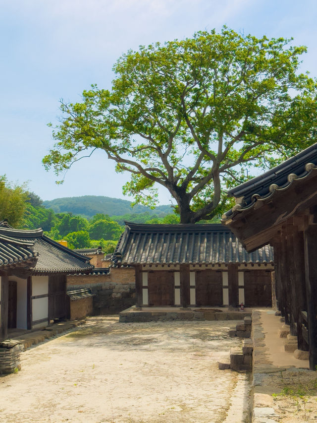 5월 가기좋은 합천 여행코스