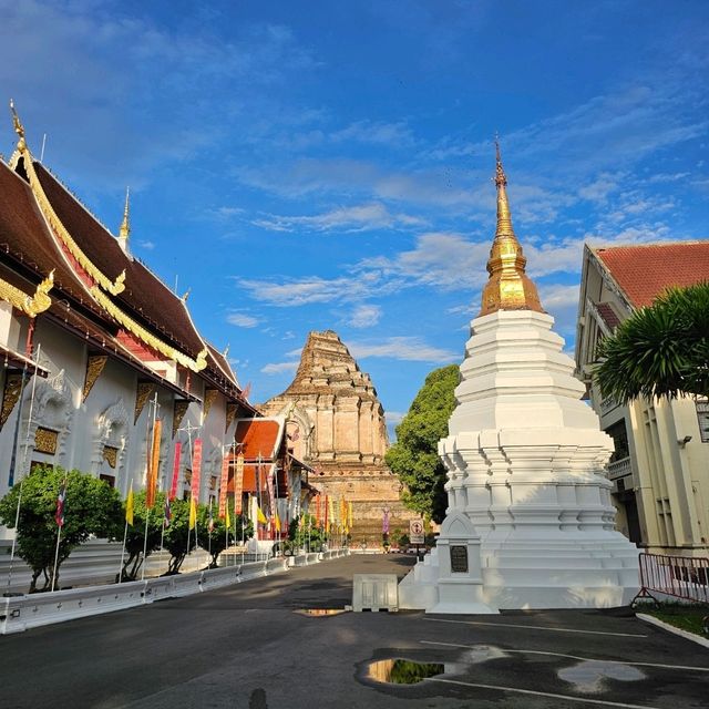 🪷ไหว้พระ | วัดเจดีย์หลวง เชียงใหม่ 🪷