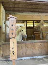: 「港女征服金刀比羅宮！785級天梯爬上去你可以實現願望+神馬禁摸令 附商店街停車費回贈秘技🇯🇵」**    ---