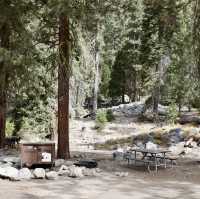Sequoia National Park
