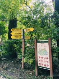 端午節好去處｜台北市立植物園的節日體驗