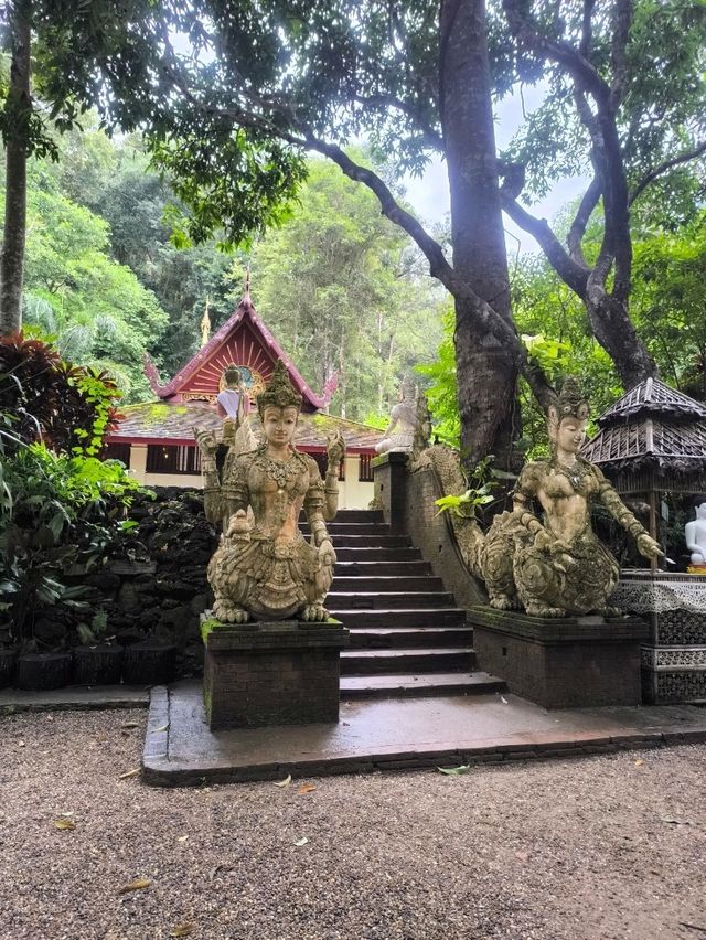 Chiang Mai ✈️