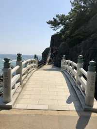 A Relaxed Day by the Sea – Exploring Katsurahama