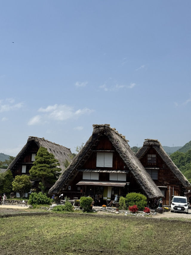8日7夜 名古屋 立山黑部 飛驒之旅