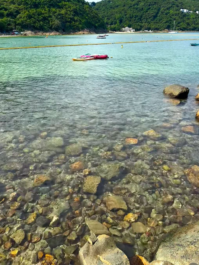 夏天好去處｜原來在香港也能看到果凍海
