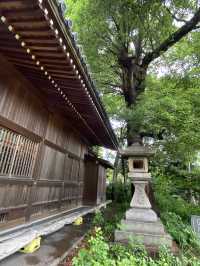 城下町を巡る　境内に土俵がある「愛宕神社」