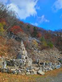 정선하이원가을하늘길트레킹여행🍁🍂