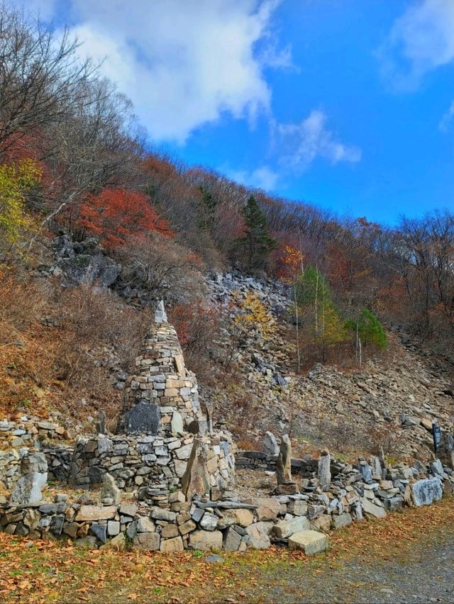 정선하이원가을하늘길트레킹여행🍁🍂