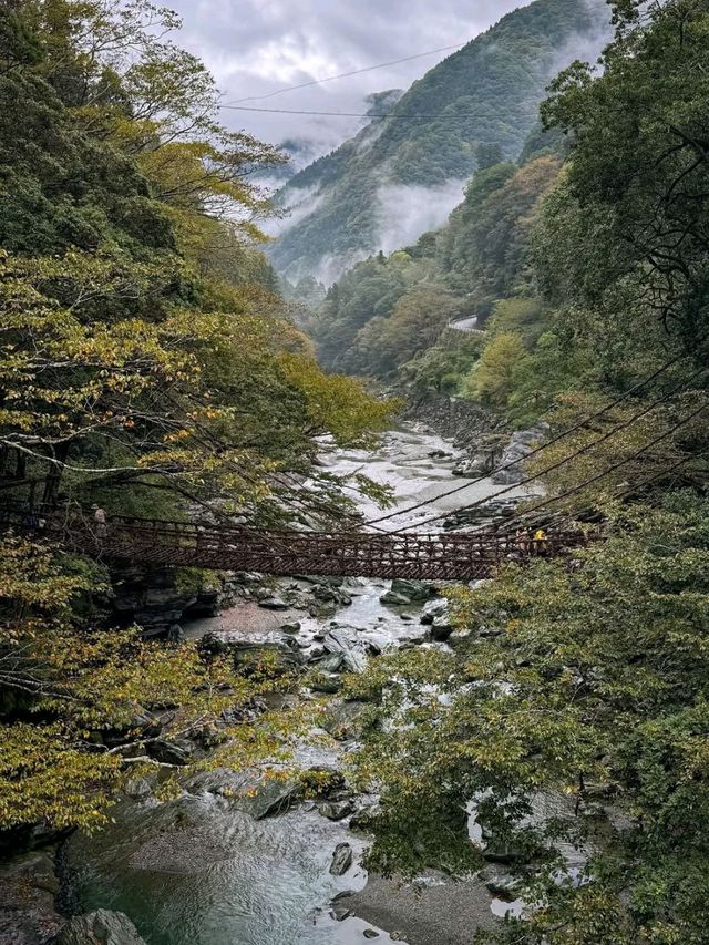 Spring Feels in Iya Valley