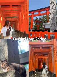 ✨Kyoto Itinerary (4D3N)🇯🇵