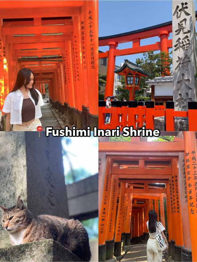 ✨Kyoto Itinerary (4D3N)🇯🇵