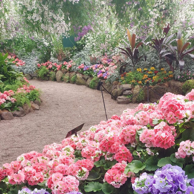 Spring Visit to Fitzroy Gardens, Melbourne 