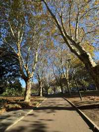 6 must-visit spots in Melbourne 