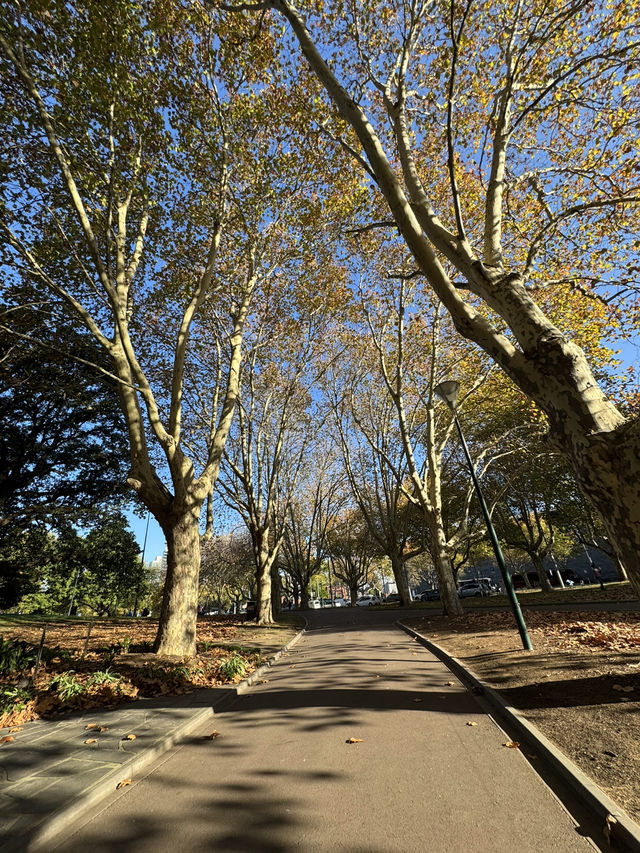 6 must-visit spots in Melbourne 