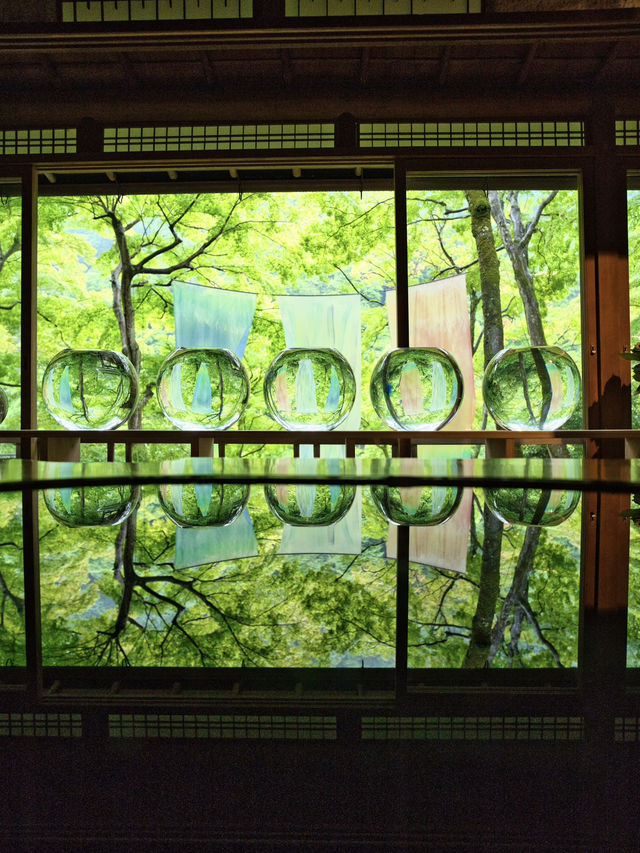 【雨でも楽しめる室内絶景】「水鏡」の絶景に息をのむ🌿💧✨※周辺観光情報付
