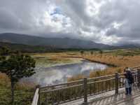 北海道道東🇯🇵 世界自然遺產