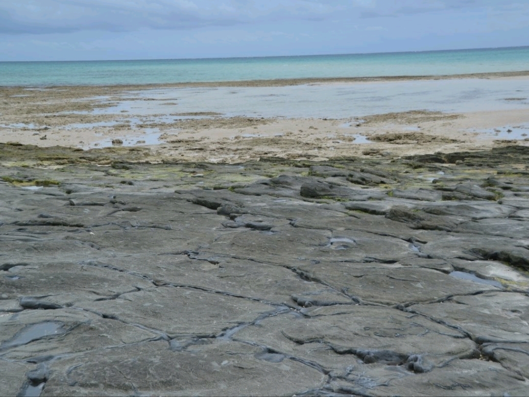A magnificent view! I'm impressed by the tatami stones of Kumejima.