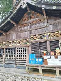 A Visit to the Magnificent Nikkō Tōshōgū Temple and Shrine