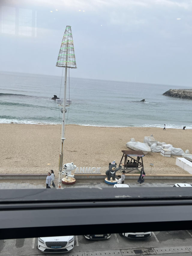 강릉 안목 카페거리 AM카페