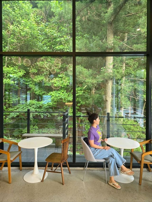 해질무렵에도 너무 낭만적인 숲속 감성카페💚