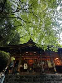京都｜到貴船神社抽水籤 春有綠意秋楓紅 感受京都絕美詩意