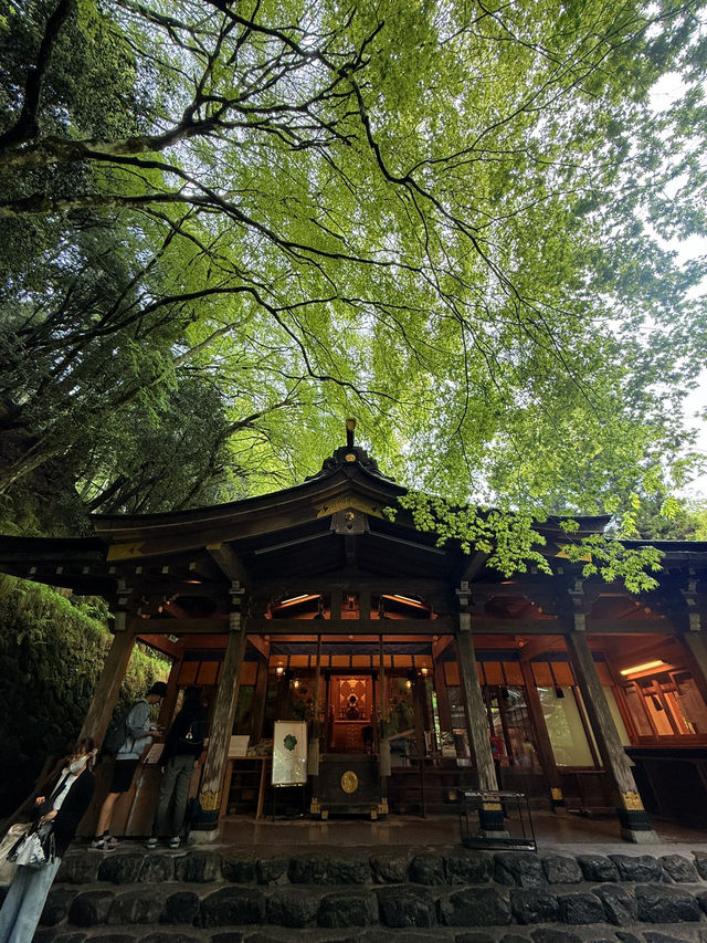 京都｜到貴船神社抽水籤 春有綠意秋楓紅 感受京都絕美詩意