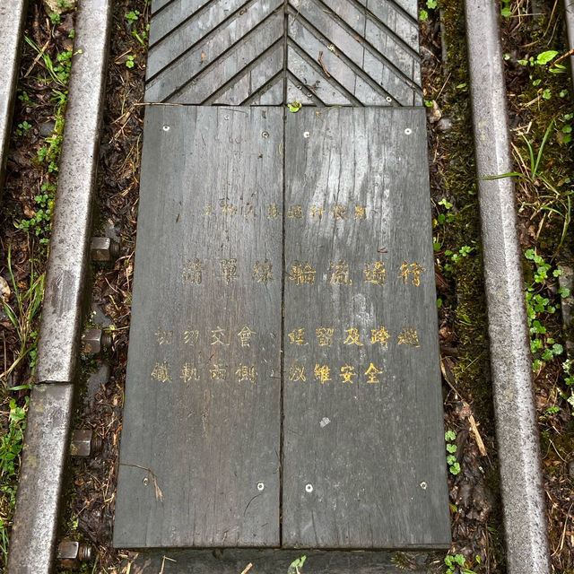 🚶‍♂️阿里山眠月線健行｜沼平車站 ⇄ 石猴車站