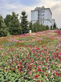 A Day in Dushanbe for Under $10 – Parks, Cafés & Local Vibes