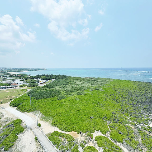 🌊 沖繩殘波岬燈塔：登頂眺望果凍海與斷崖奇景，順嘗Blue Seal冰淇淋！