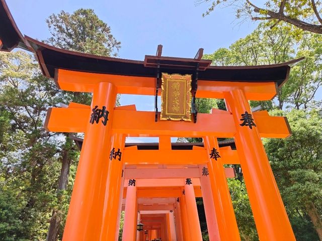 走吧~一個人的旅行