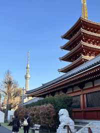 『米其林評鑑二星景點』【淺草觀音寺】雷門‧仲見世商店街～下町風情～美食&祭典結合的『淺草橫町』