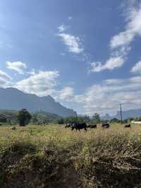 3 days trip in Vang Vieng, Laos 