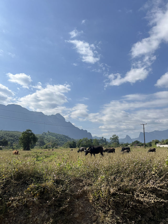 3 days trip in Vang Vieng, Laos 