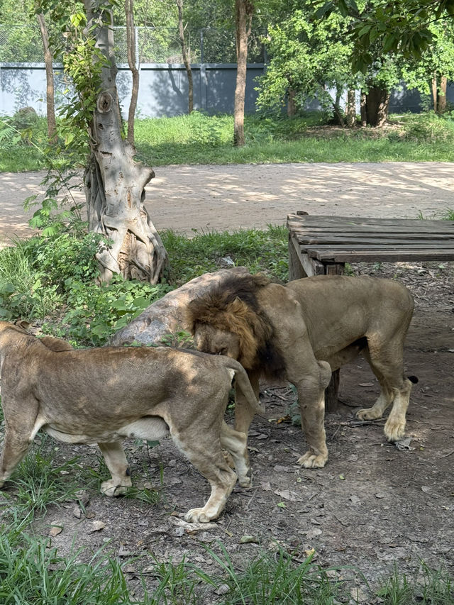 北碧府野生動物園
